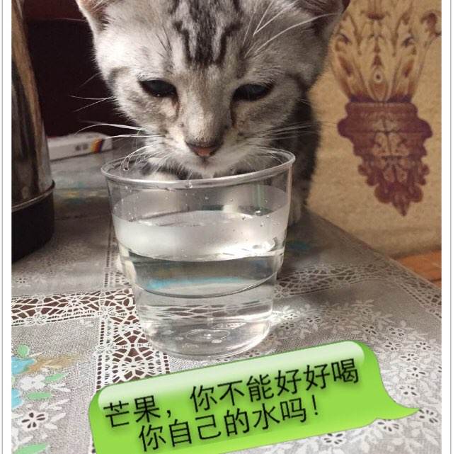 医师执业证书哪里可以做